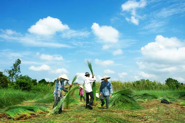 Đưa làng nghề dệt chiếu xã Long Định vào 'bản đồ' du lịch